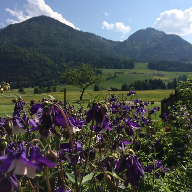 Schifterhof Ruhpolding Villa Bagian luar foto