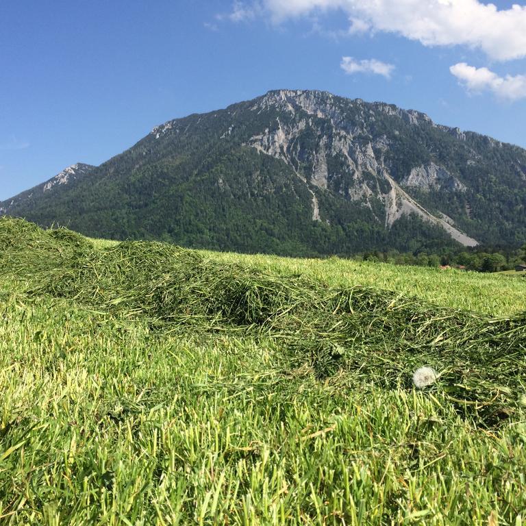 Schifterhof Ruhpolding Villa Bagian luar foto